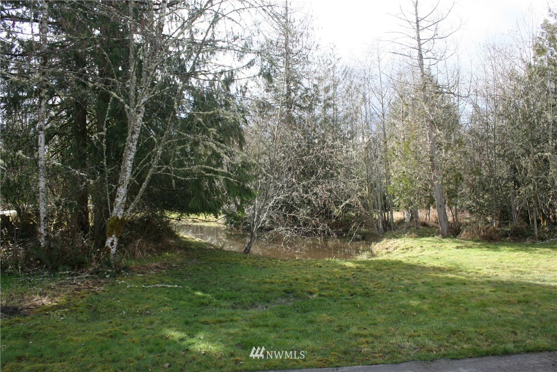 274 Hall Road Silverlake, WA 98645 - Photo 4 of 24 Gallery Image 4