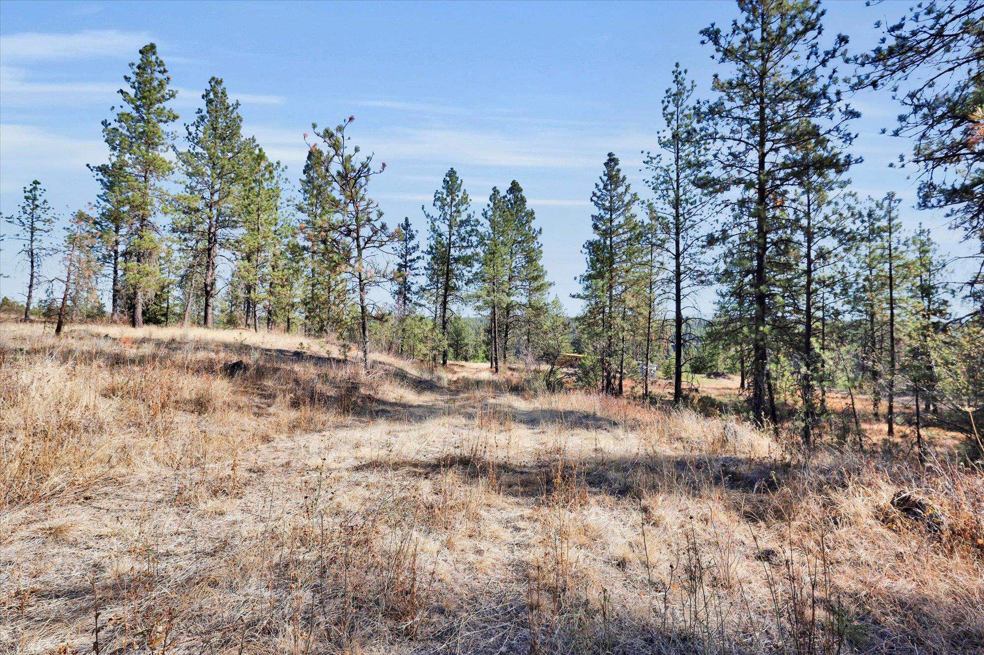 Tbd South Scribner Road, Unit PARCEL #24272 9065 Cheney, WA 99004 - Photo 15 of 26