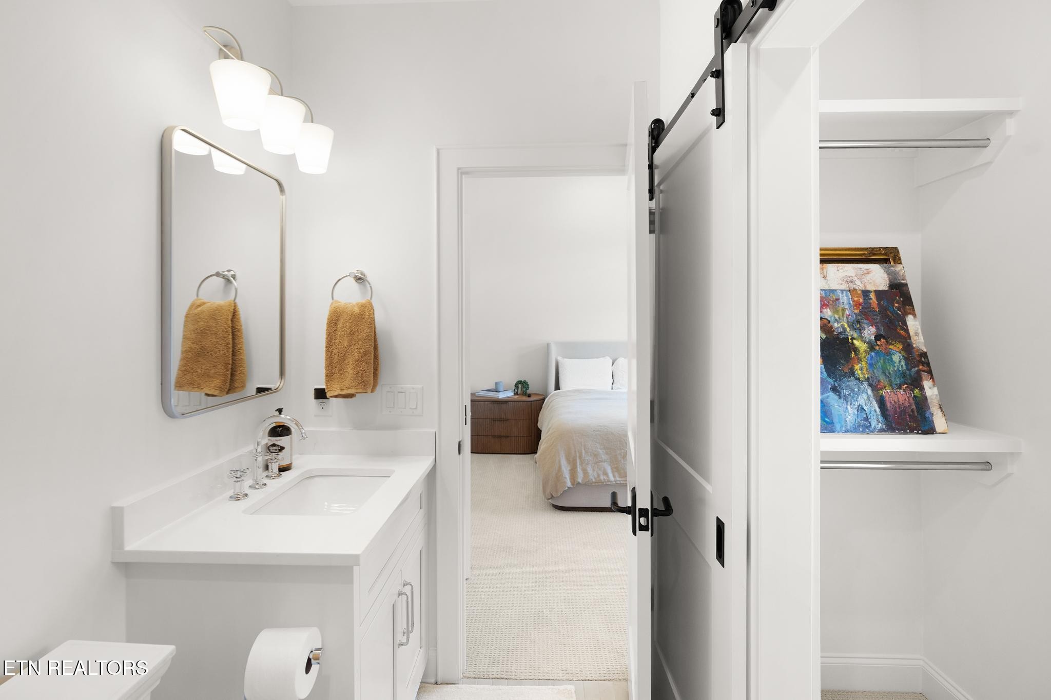 3693 Herschel Hudson Road Lascassas, TN 37085 - Photo 29 of 51 a bathroom with a sink and a mirror