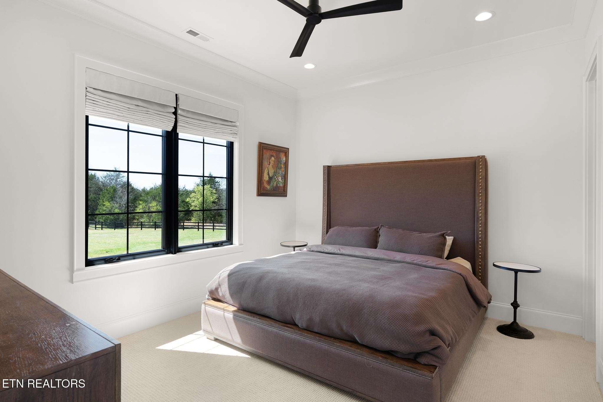 3693 Herschel Hudson Road Lascassas, TN 37085 - Photo 41 of 51 a bedroom with a bed a window and walk in closet