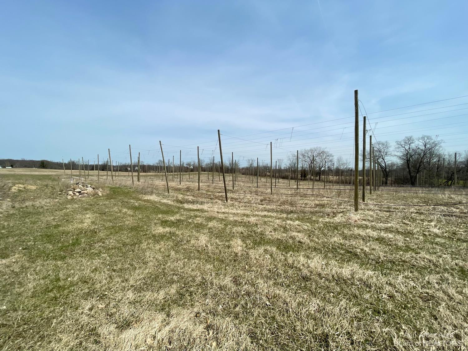 8811 Schellenberger Road Manchester, MI 48158 - Photo 6 of 10 Photo 6