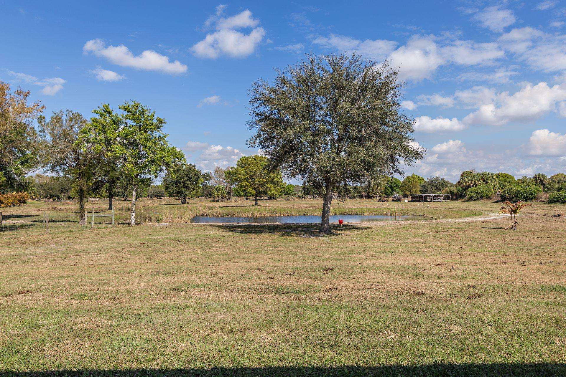 23801 Southwest Arrowroot Road Indiantown, FL 34956 - Photo 23 of 44 Native oaks