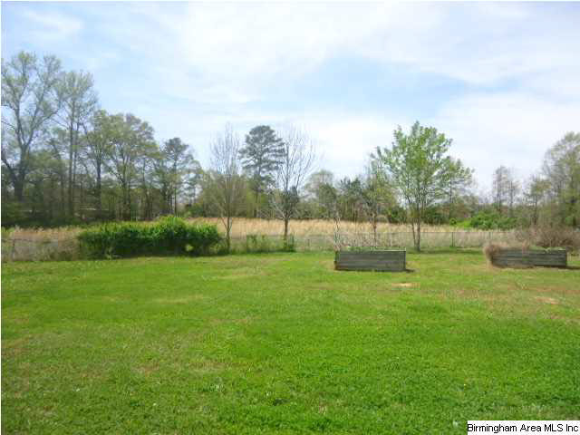 1987 Kornegay Road Oneonta, AL 35121 - Photo 7 of 31