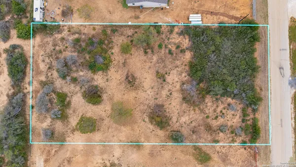 a view of a dry yard with trees