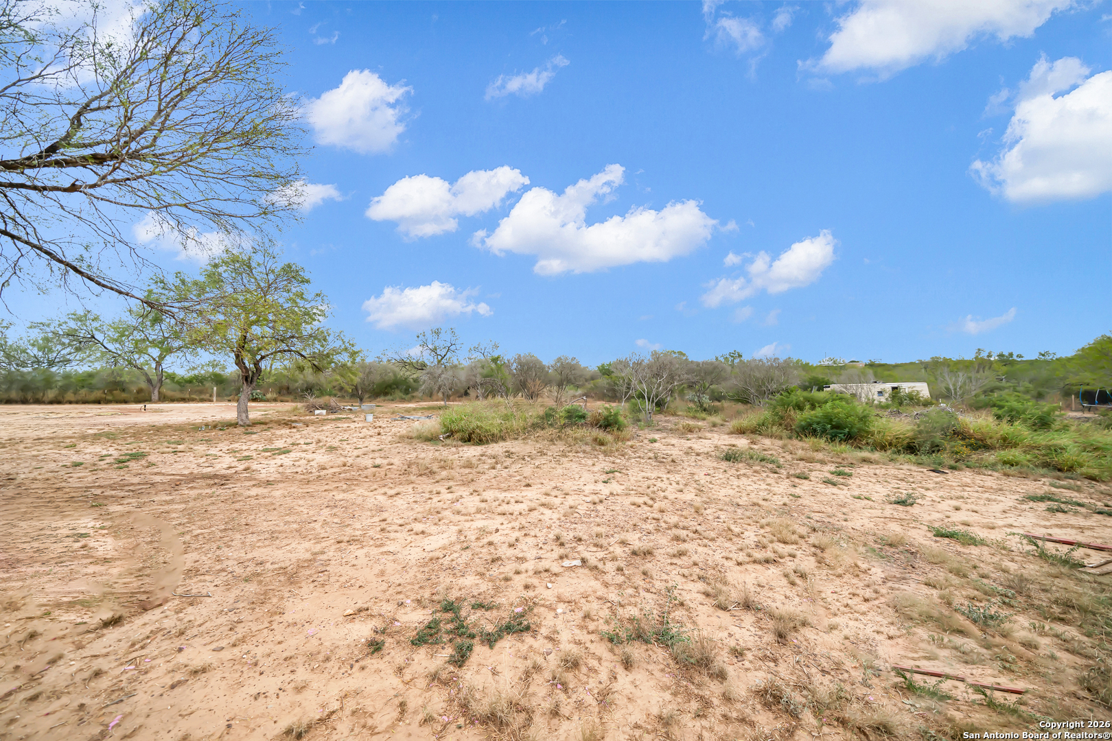 138 County Road 2665 Devine, TX 78016 - Photo 6 of 19