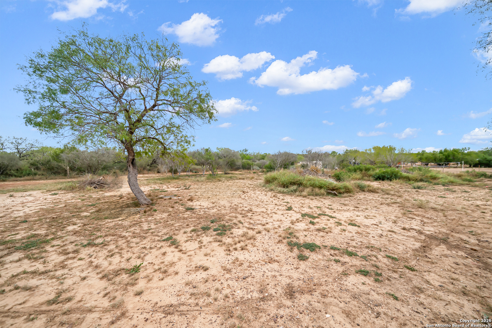 138 County Road 2665 Devine, TX 78016 - Photo 7 of 19