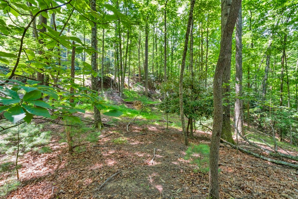 11-14 Powder Horn Mountain Road Deep Gap, NC 28618 - Photo 15 of 38