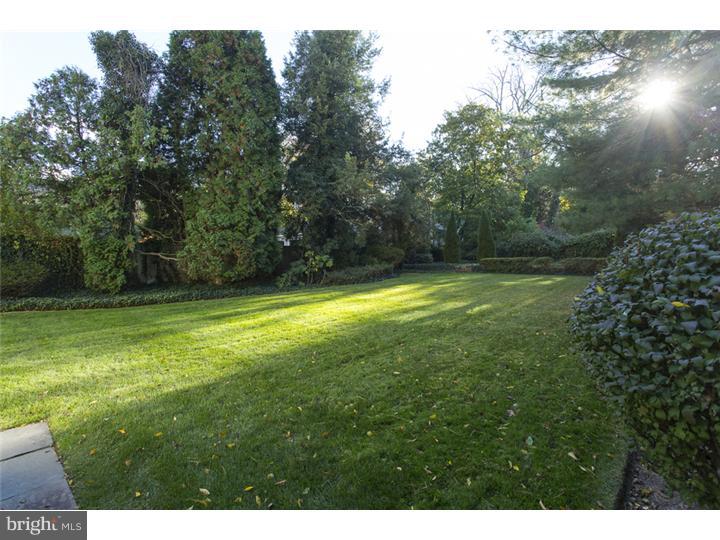 154 Library Place Princeton, NJ 08540 - Photo 22 of 23 Garden