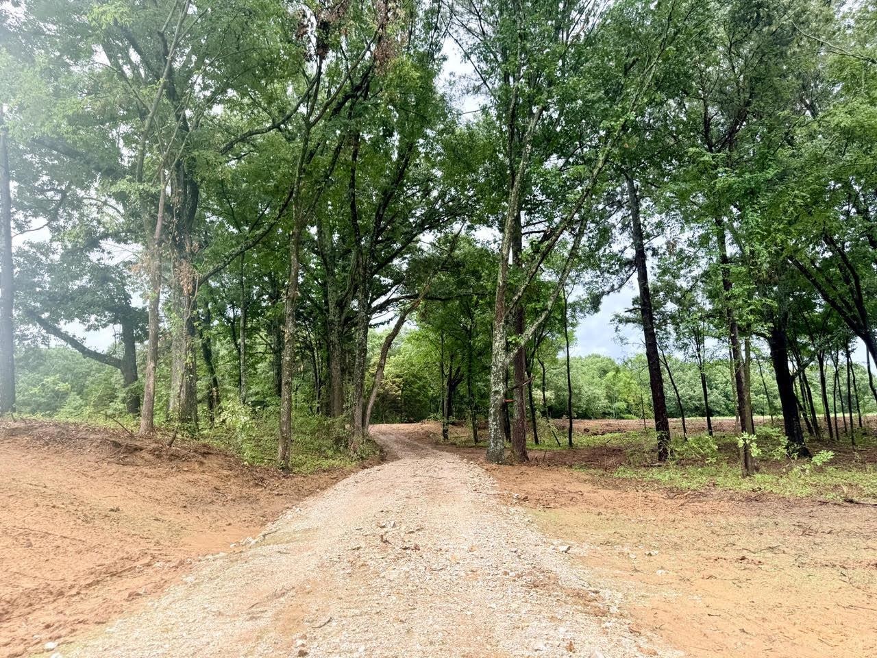 0 Young Cemetery Road Gadsden, TN 38337 - Photo 1 of 9