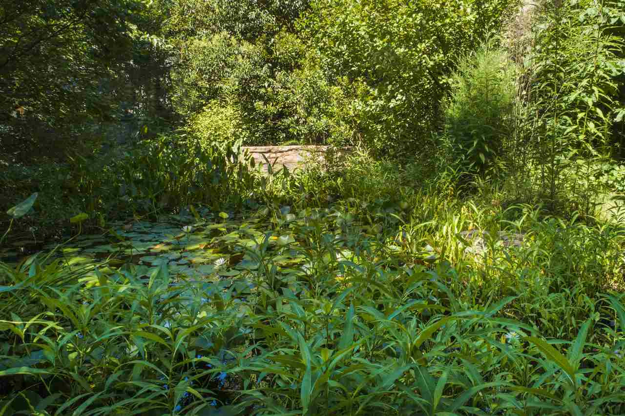 2629 Fairview Road Raleigh, NC 27608 - Photo 26 of 29 Pond to Stone Patio