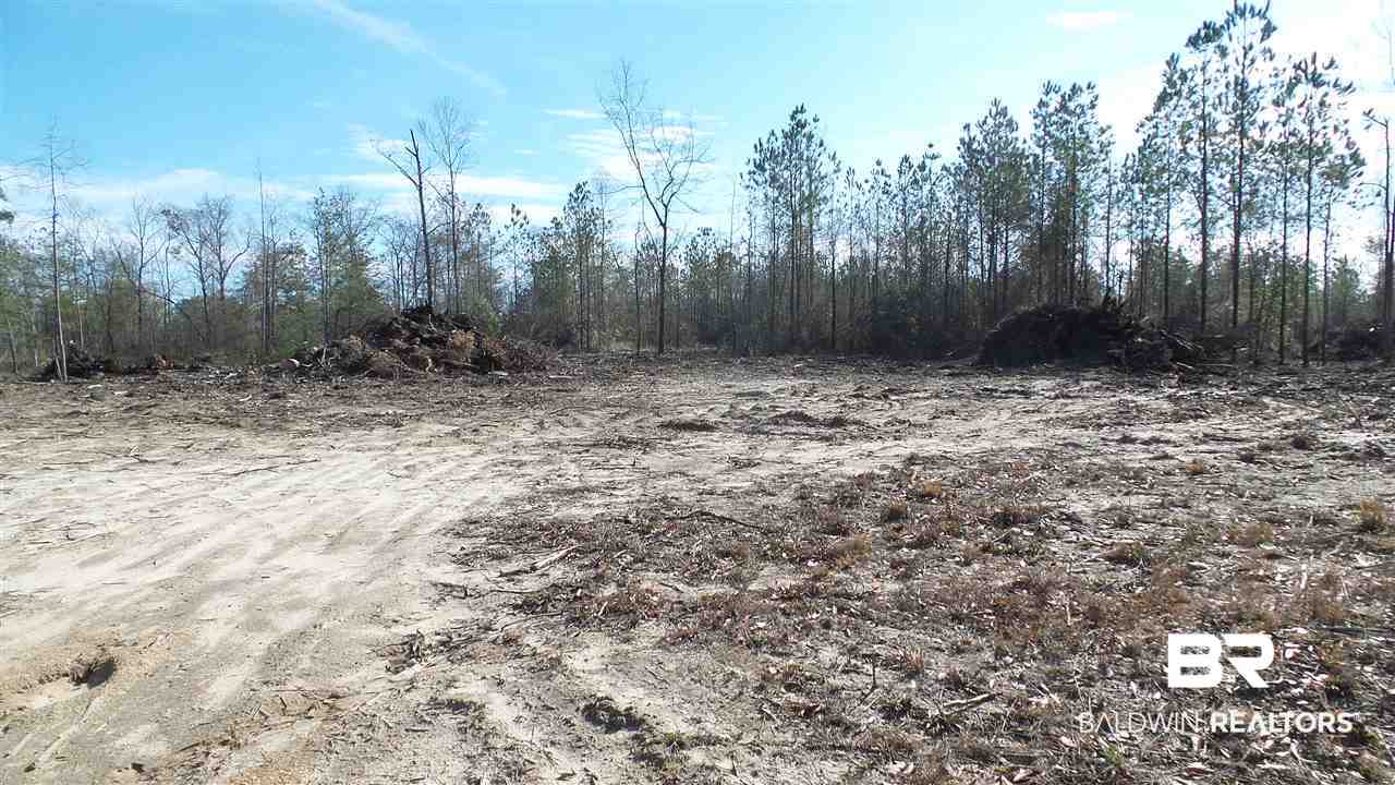 5-6 Dixon Nursery Road Brewton, AL 36426 - Photo 18 of 21
