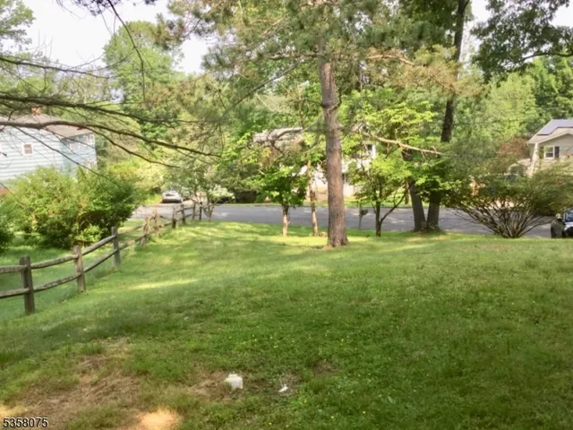 a huge green field with lots of trees