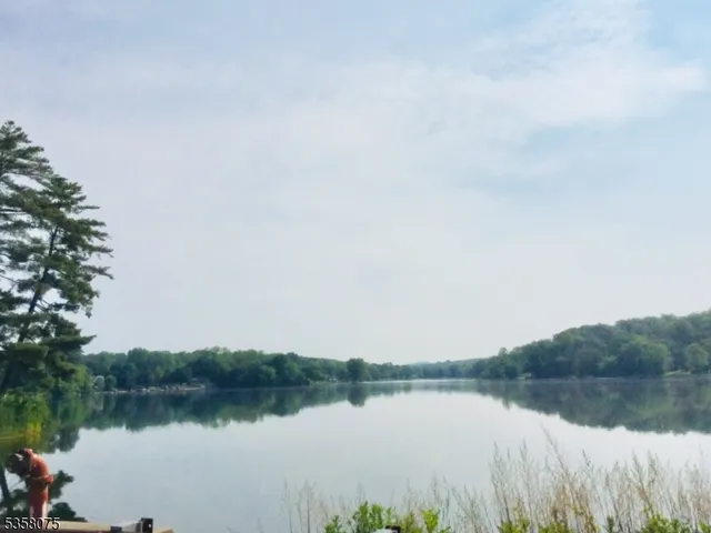 a view of a lake with houses in the back