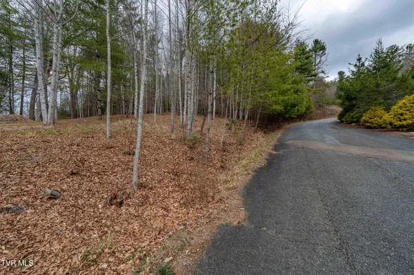 $24,900 | Lot 4 Of Forge Creek Rd Mountain, Unit 4, Mountain City, TN 37683