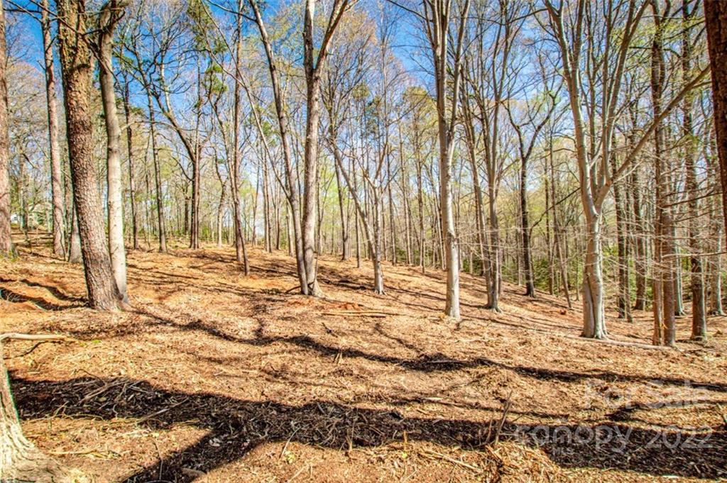 8412 Monbo Road, Unit 9 Catawba, NC 28609 - Photo 8 of 23 Gallery Image 8