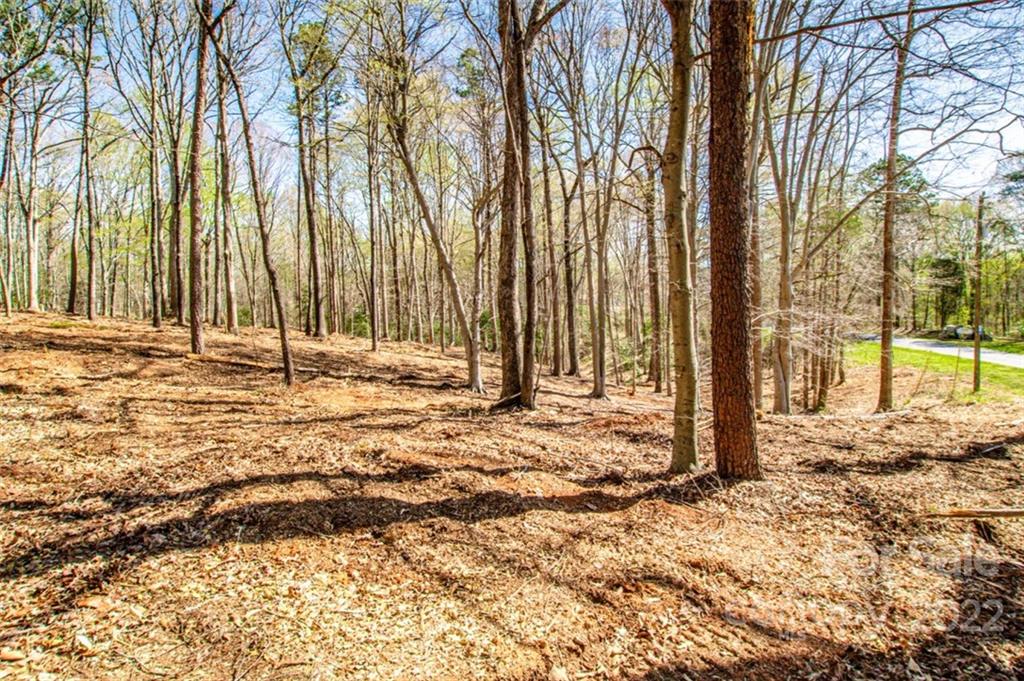 8412 Monbo Road, Unit 9 Catawba, NC 28609 - Photo 9 of 23 Gallery Image 9