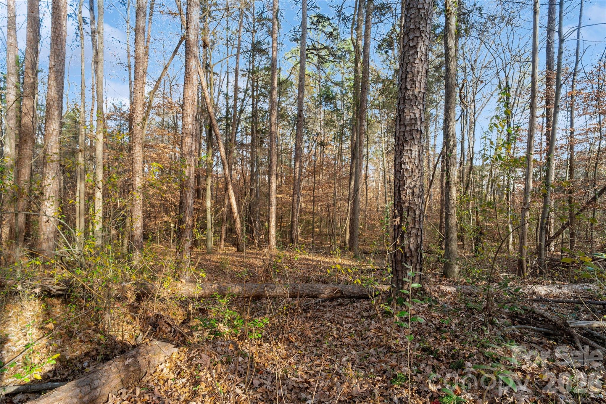 0 Sandy Ford Road Mount Holly, NC 28120 - Photo 13 of 13 a view of outdoor space with trees