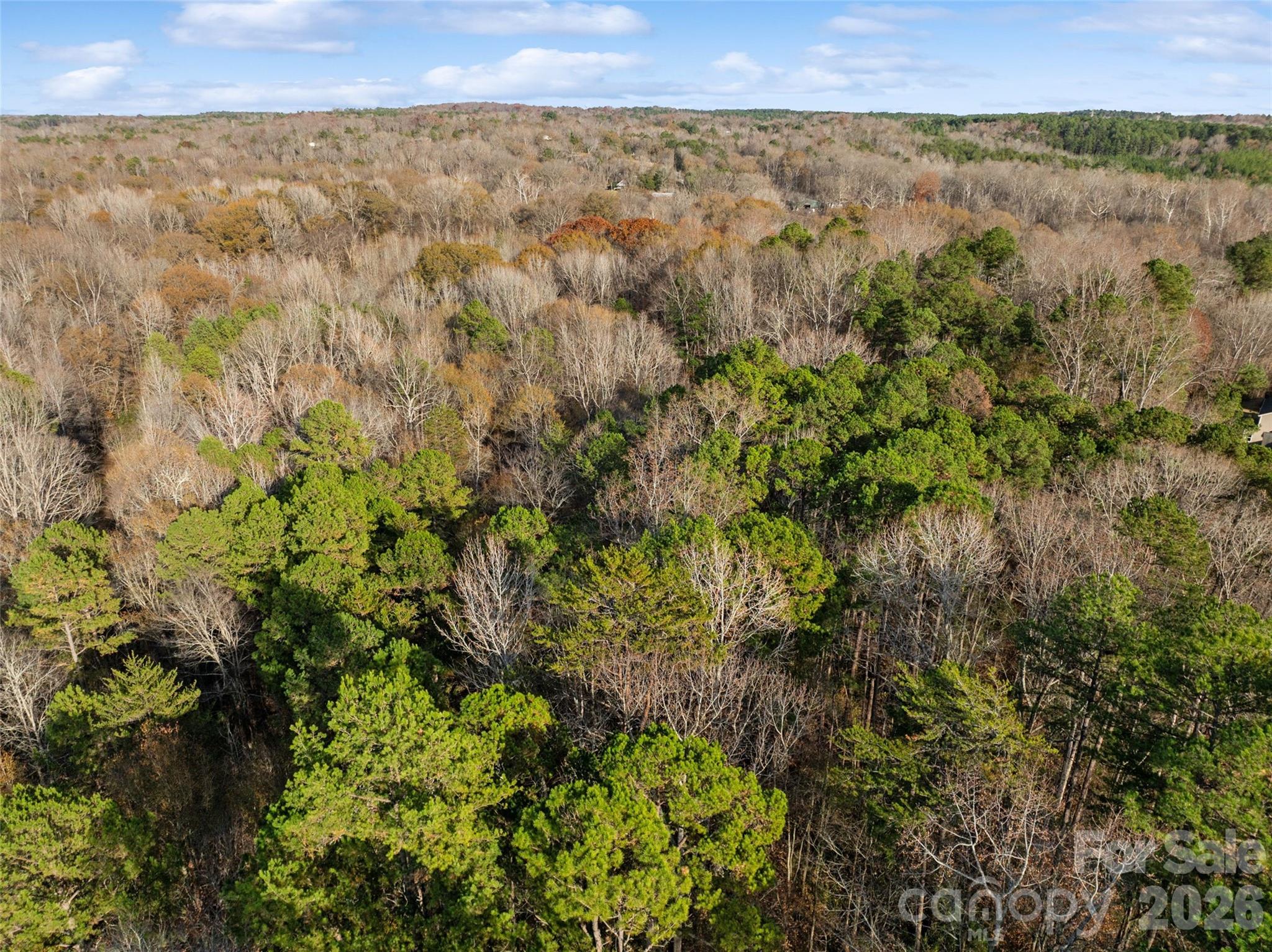 0 Sandy Ford Road Mount Holly, NC 28120 - Photo 8 of 13 a view of a green field