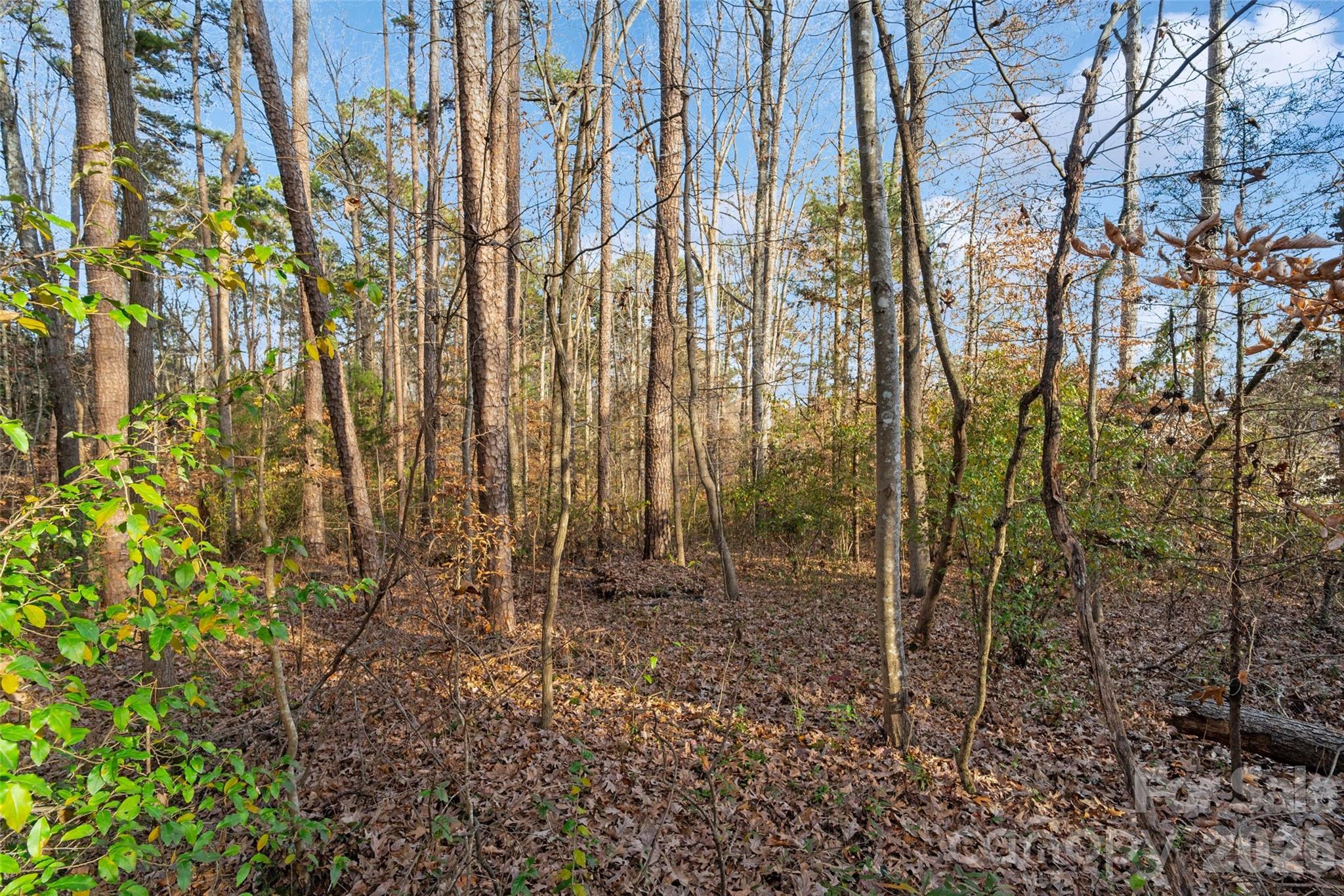 0 Sandy Ford Road Mount Holly, NC 28120 - Photo 10 of 13 a view of backyard with green space