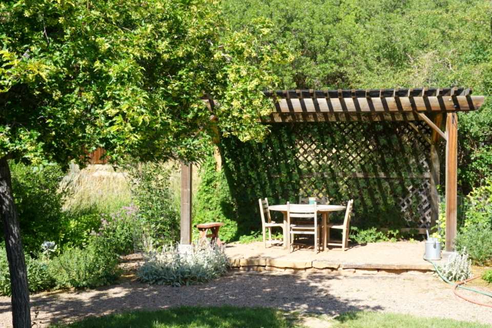 42265 Piburn Flats Road Crawford, CO 81415 - Photo 17 of 35 a view of a chairs and bench in the backyard