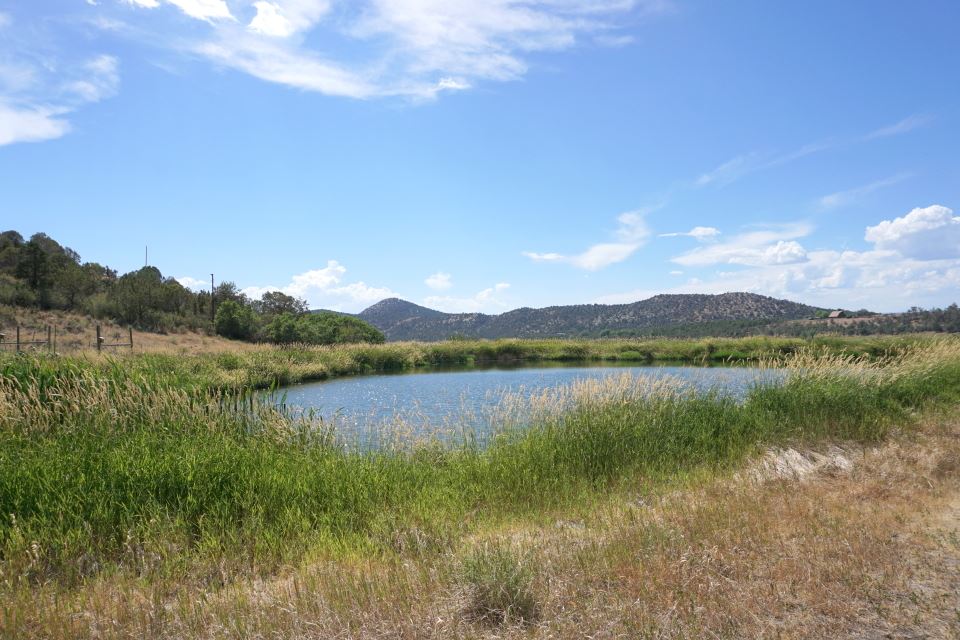 42265 Piburn Flats Road Crawford, CO 81415 - Photo 29 of 35 a view of lake with mountain view