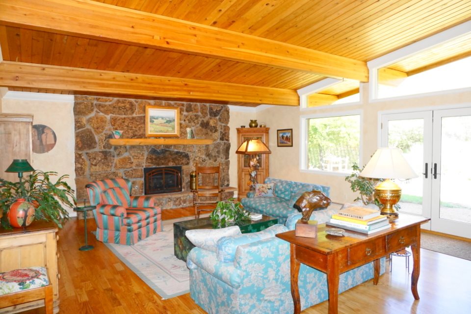 42265 Piburn Flats Road Crawford, CO 81415 - Photo 3 of 35 a living room with furniture a front door and a potted plant
