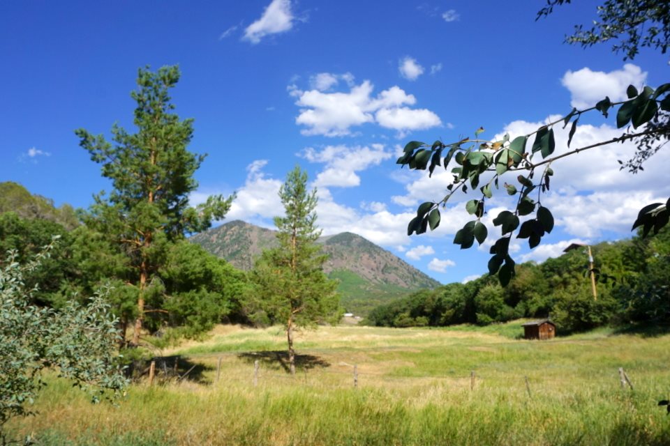 42265 Piburn Flats Road Crawford, CO 81415 - Photo 33 of 35 a view of a lake