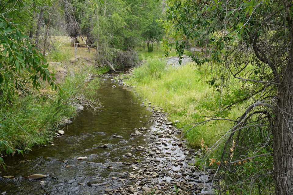 42265 Piburn Flats Road Crawford, CO 81415 - Photo 34 of 35 a view of a garden
