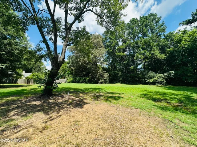 a big yard with lots of green space and trees