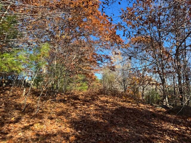 R12-l50-1 Tolman Road Warren, ME 04864 - Photo 2 of 5 IMG_3215 - Copy
