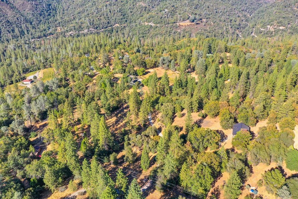 5205 Rooster Lane Somerset, CA 95684 - Photo 74 of 98