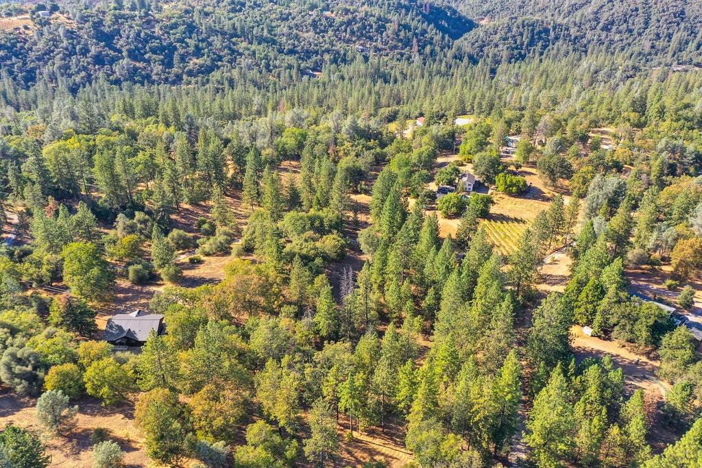 5205 Rooster Lane Somerset, CA 95684 - Photo 75 of 98