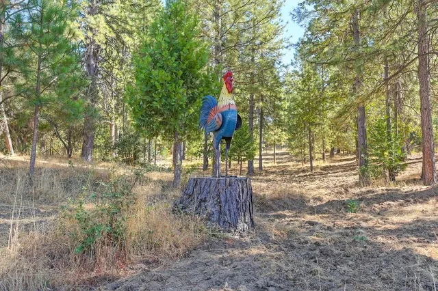 $985,000 | 5205 Rooster Lane, Somerset, CA 95684