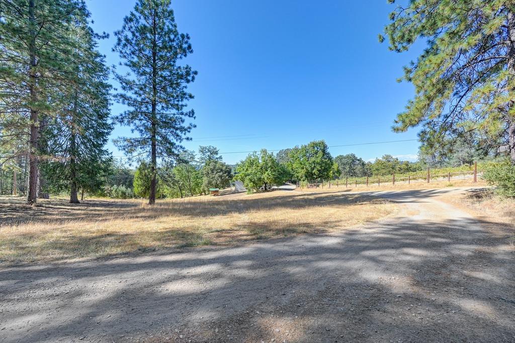 5205 Rooster Lane Somerset, CA 95684 - Photo 80 of 98