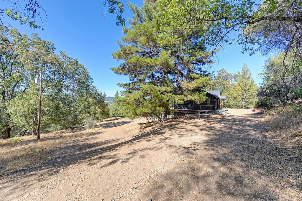 5205 Rooster Lane Somerset, CA 95684 - Photo 82 of 98 a view of a yard with plants and trees