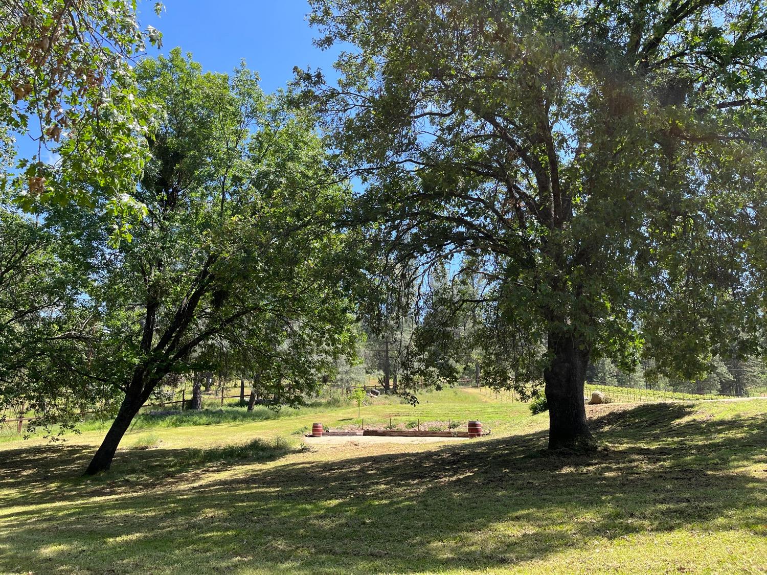 5205 Rooster Lane Somerset, CA 95684 - Photo 89 of 98