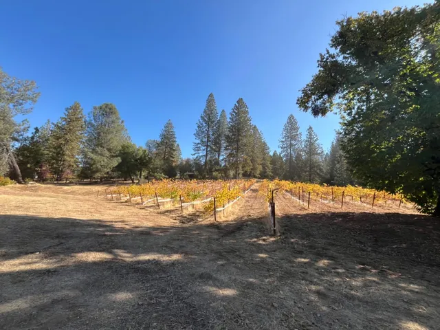 $985,000 | 5205 Rooster Lane, Somerset, CA 95684