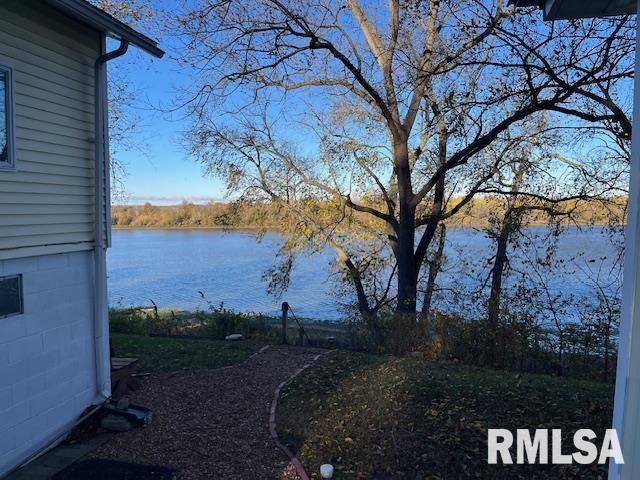 18844 Quiver Beach Road Havana, IL 62644 - Photo 5 of 22