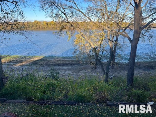 18844 Quiver Beach Road Havana, IL 62644 - Photo 6 of 22