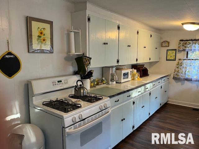 18844 Quiver Beach Road Havana, IL 62644 - Photo 7 of 22