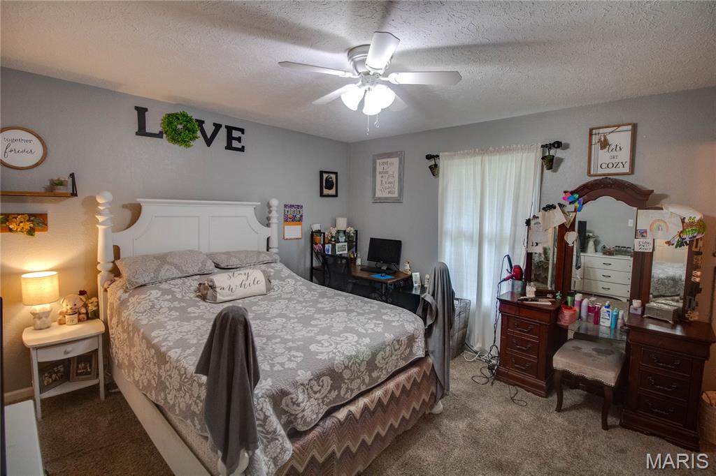 310 South Clinton Street Bunker Hill, IL 62014 - Photo 21 of 51