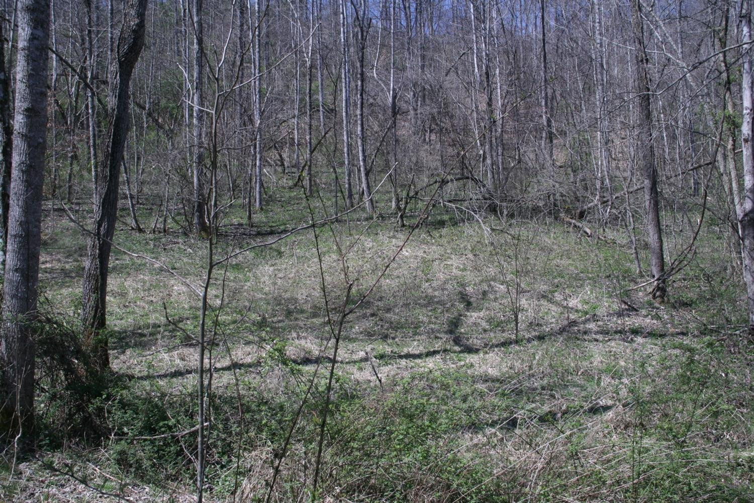956 Kelse Holland Road Campton, KY 41301 - Photo 30 of 69 Photo 55