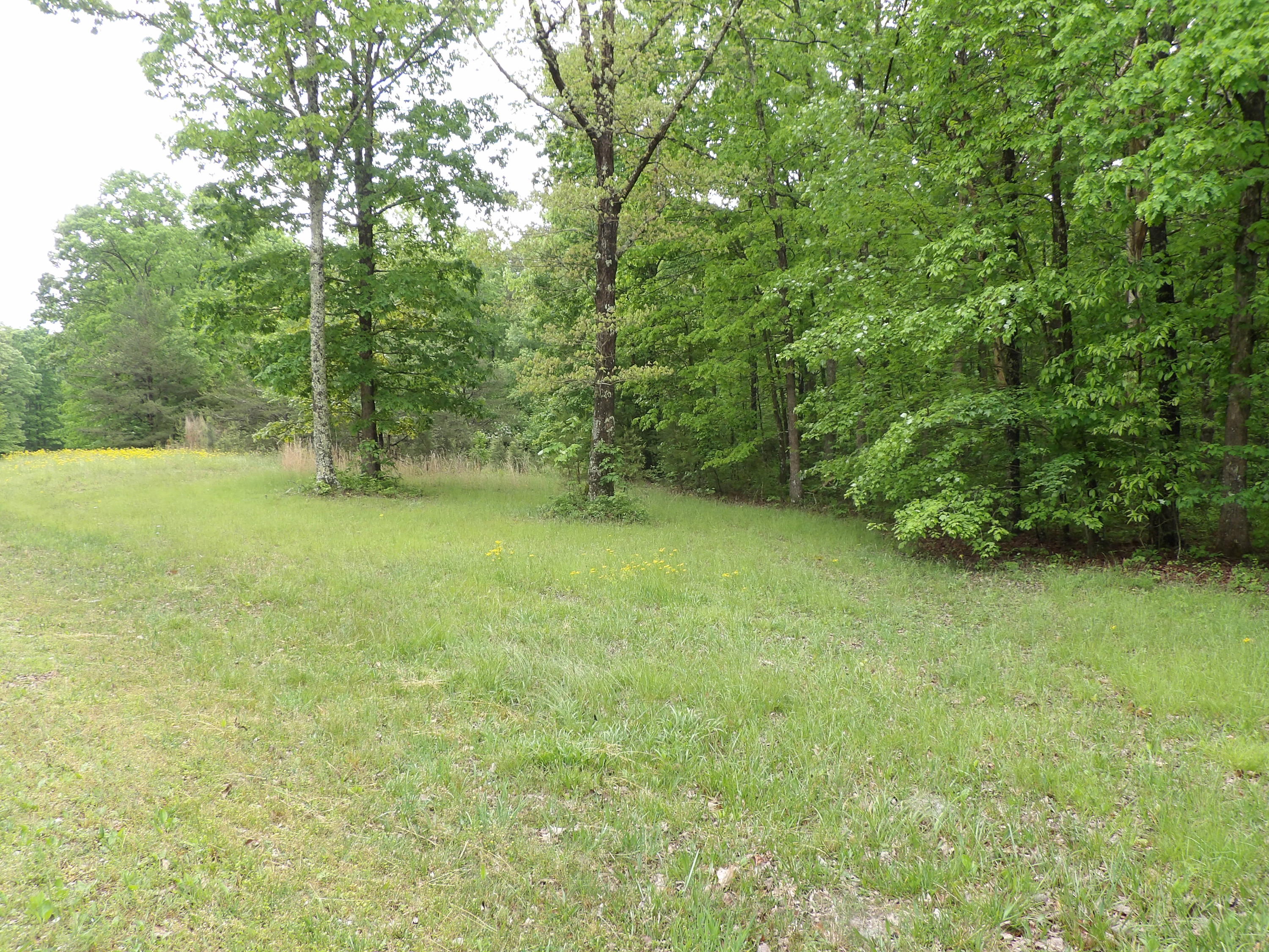0 East Bluff Road, Unit 92 Pikeville, TN 37367 - Photo 1 of 22 100_0986