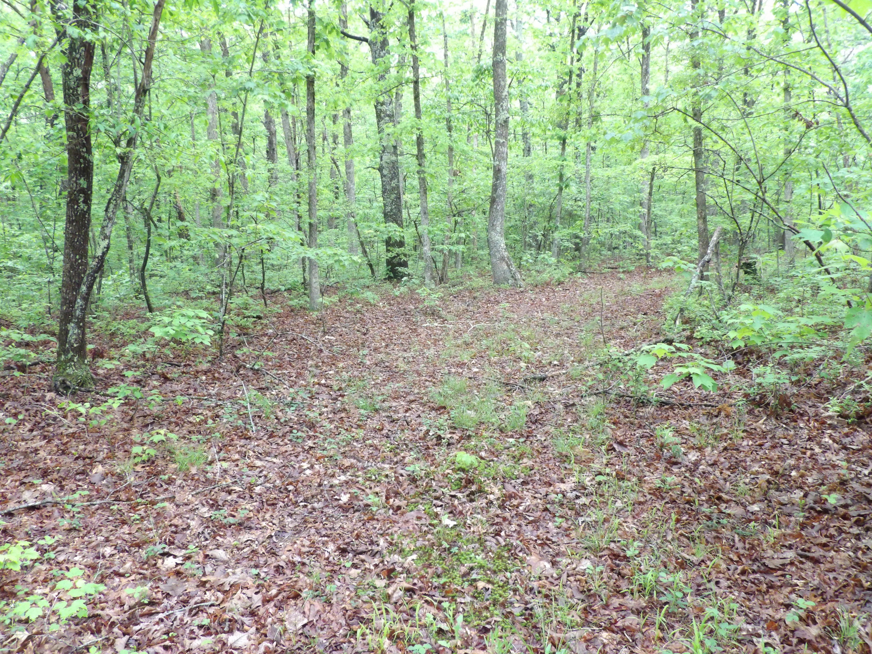 0 East Bluff Road, Unit 92 Pikeville, TN 37367 - Photo 11 of 22 100_0994