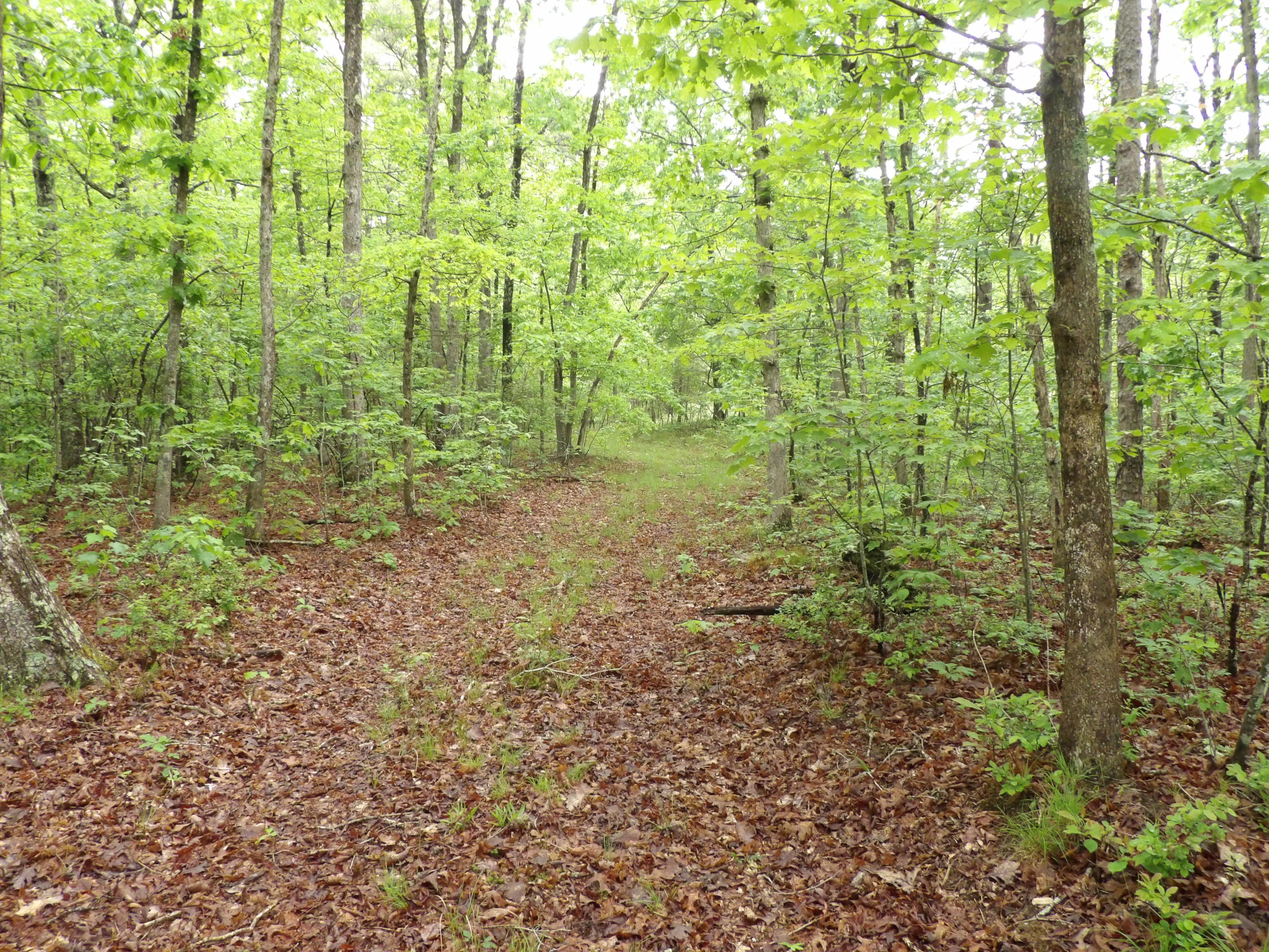 0 East Bluff Road, Unit 92 Pikeville, TN 37367 - Photo 12 of 22 100_0995