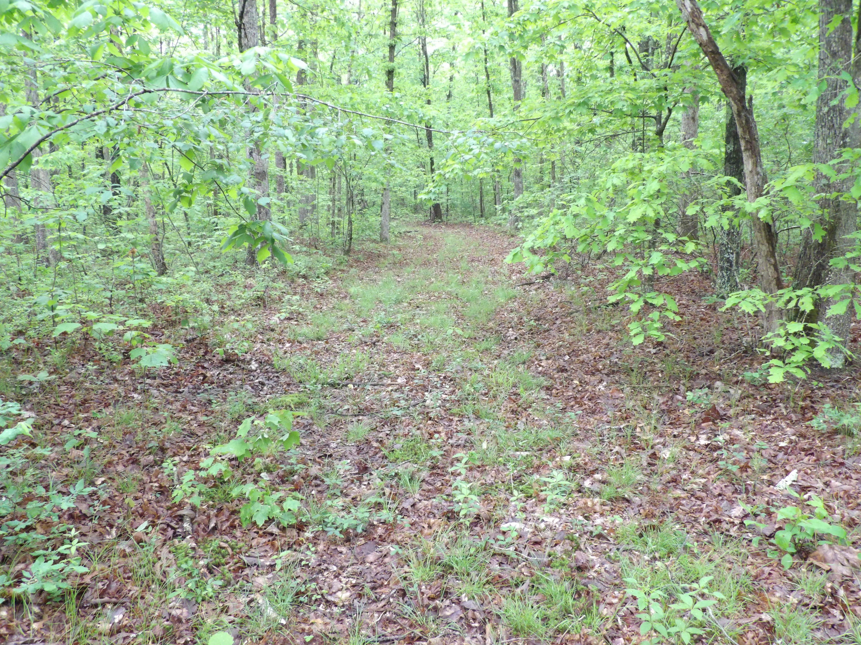 0 East Bluff Road, Unit 92 Pikeville, TN 37367 - Photo 16 of 22 100_0999