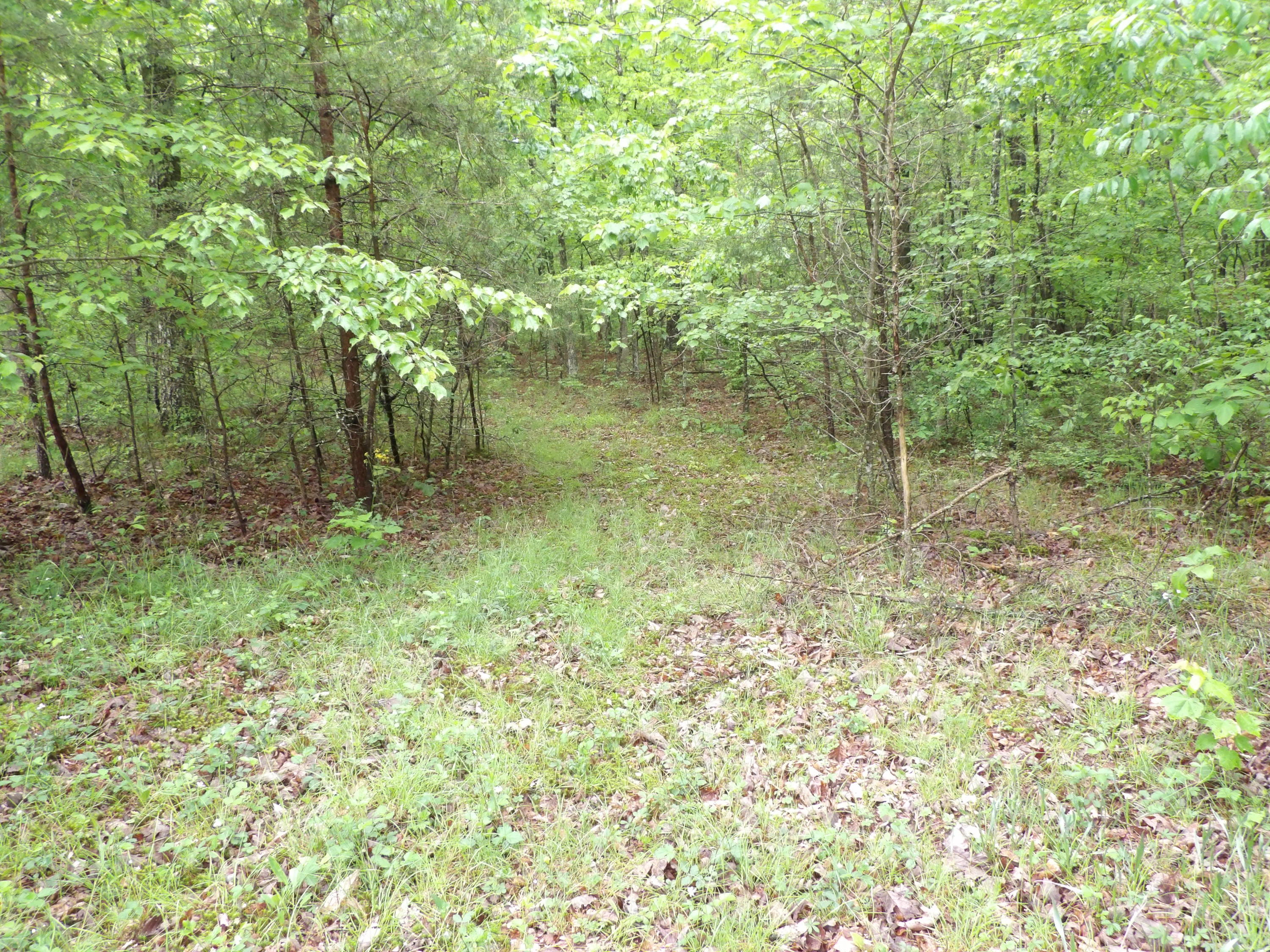 0 East Bluff Road, Unit 92 Pikeville, TN 37367 - Photo 18 of 22 100_1001