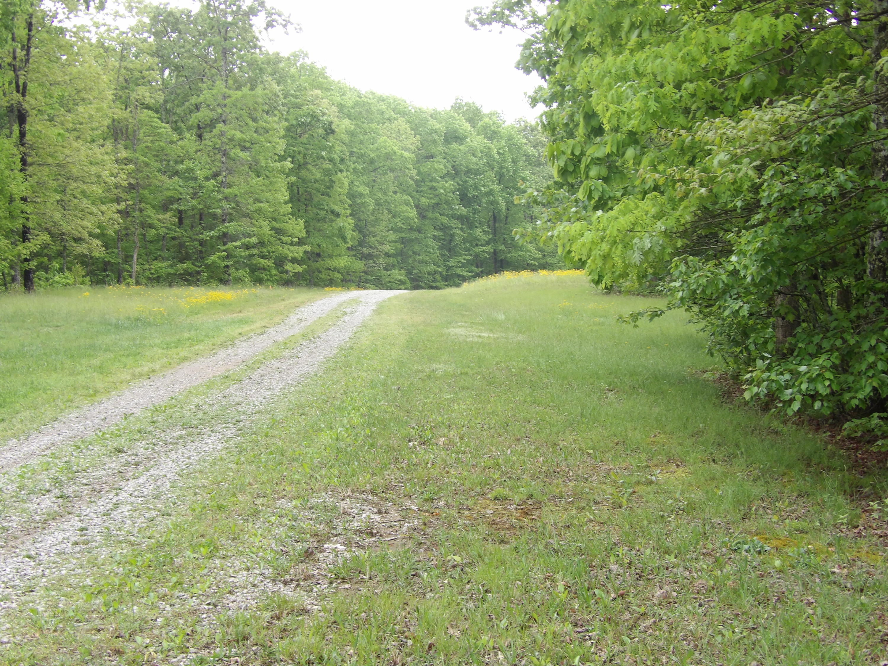 0 East Bluff Road, Unit 92 Pikeville, TN 37367 - Photo 3 of 22 100_0985