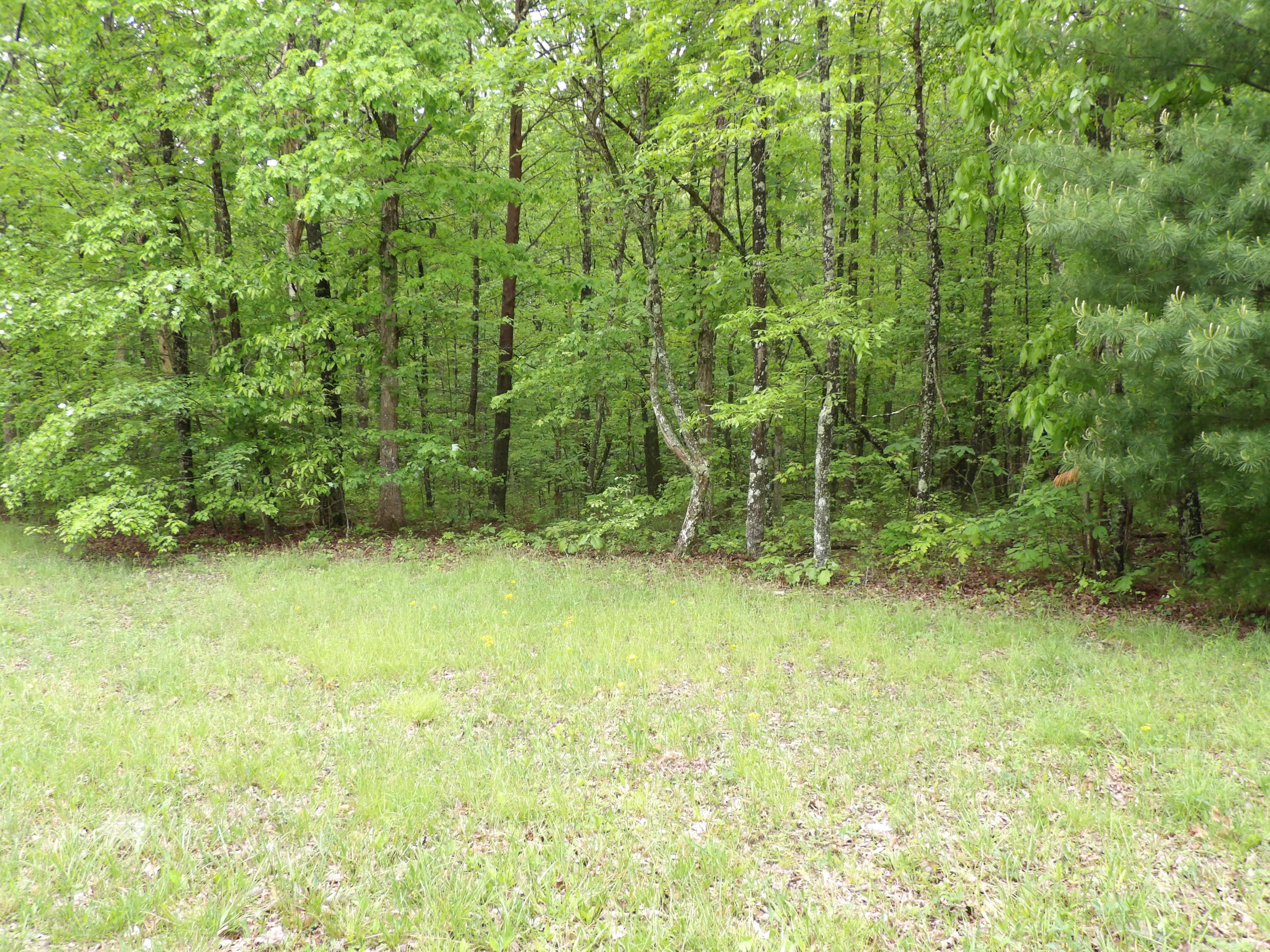 0 East Bluff Road, Unit 92 Pikeville, TN 37367 - Photo 4 of 22 100_0987
