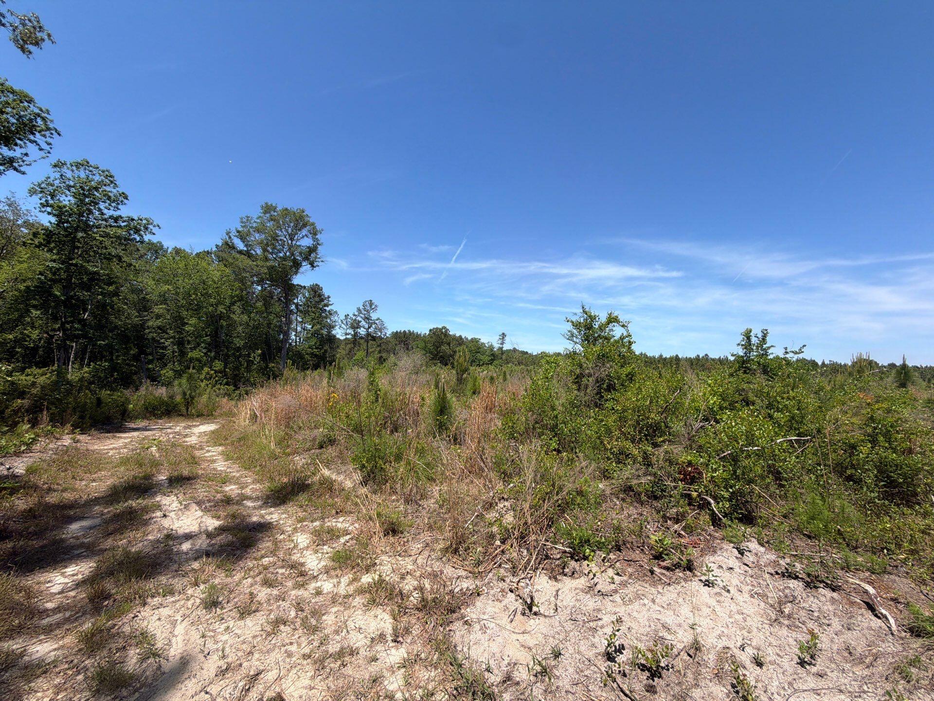1 Holstein Road, Unit HRF 1 Wagener, SC 29164 - Photo 28 of 39